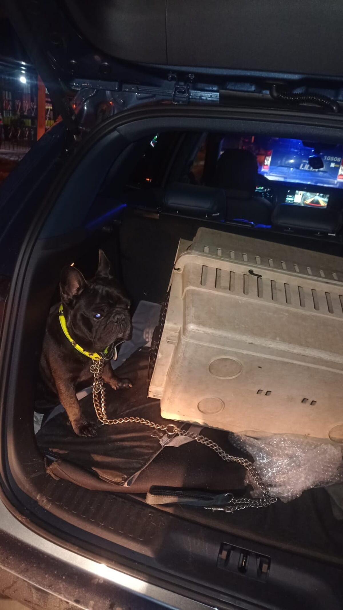 El perro recuperado. (Policía)