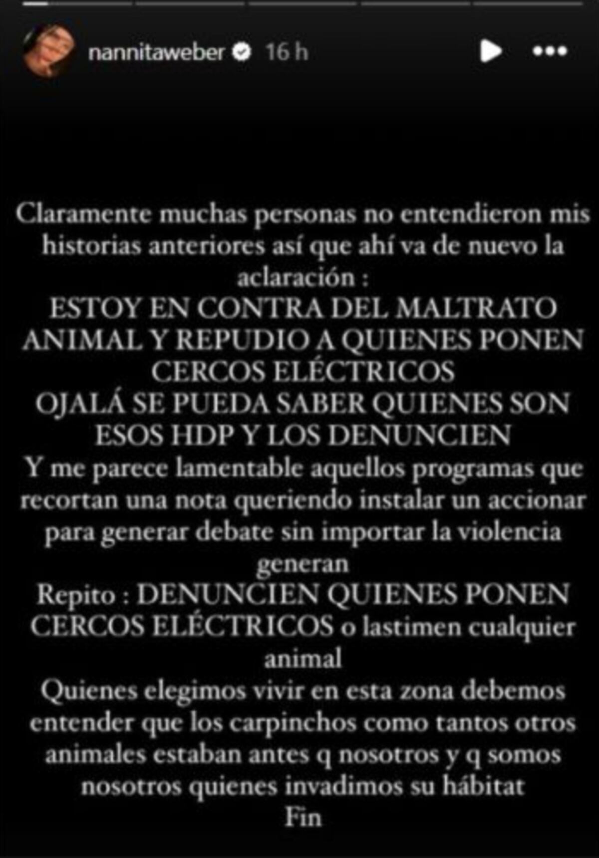 Natalie Weber le respondió a quienes la criticaron por sus declaraciones sobre los carpinchos en Nordelta. (Foto: captura de pantalla)