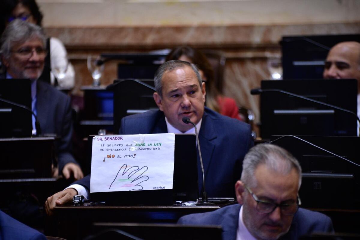 El senador Sergio Leavy (Unión por la Patria-Salta) fue otro de los que colocó un cartel en su banca (Foto: Comunicación Senado)