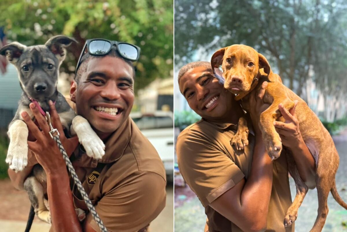 Se saca fotos con perros.