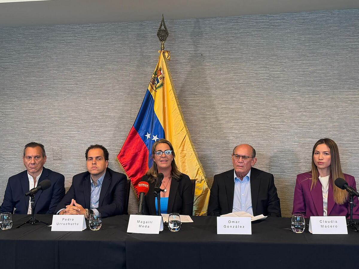 “Una operación espectacular”, los asilados en la Embajada Argentina en Venezuela dieron detalles de su huida