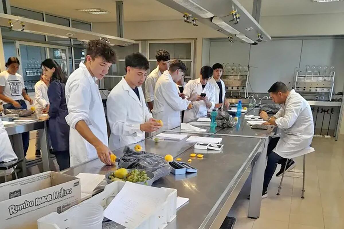 IMPACTO POSITIVO. Dentro del recorrido, se pueden visitar los talleres y las instalaciones donde los jóvenes trabajan junto con un enólogo en su formación académica. (Foto gentileza Bodega Don Bosco)