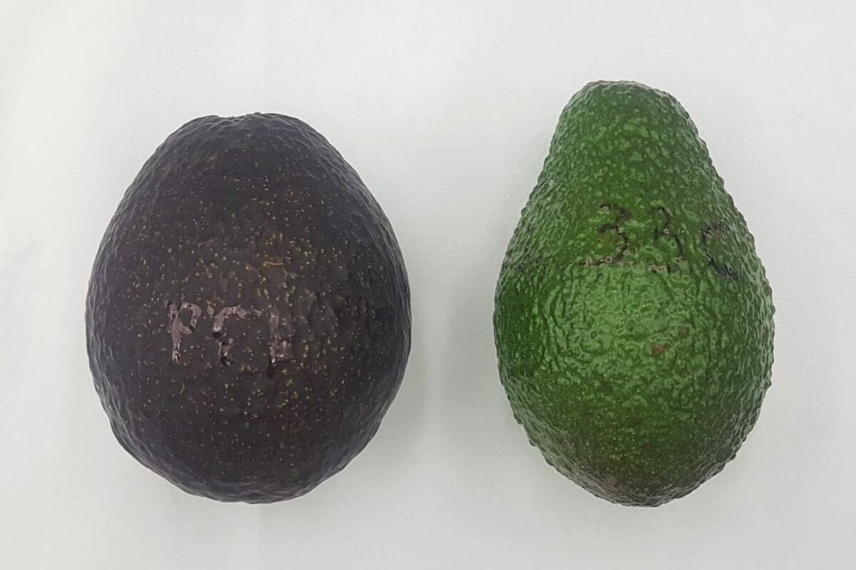 El líquido conserva a las frutas o verduras y alarga su vida útil. (Nat4Bio)