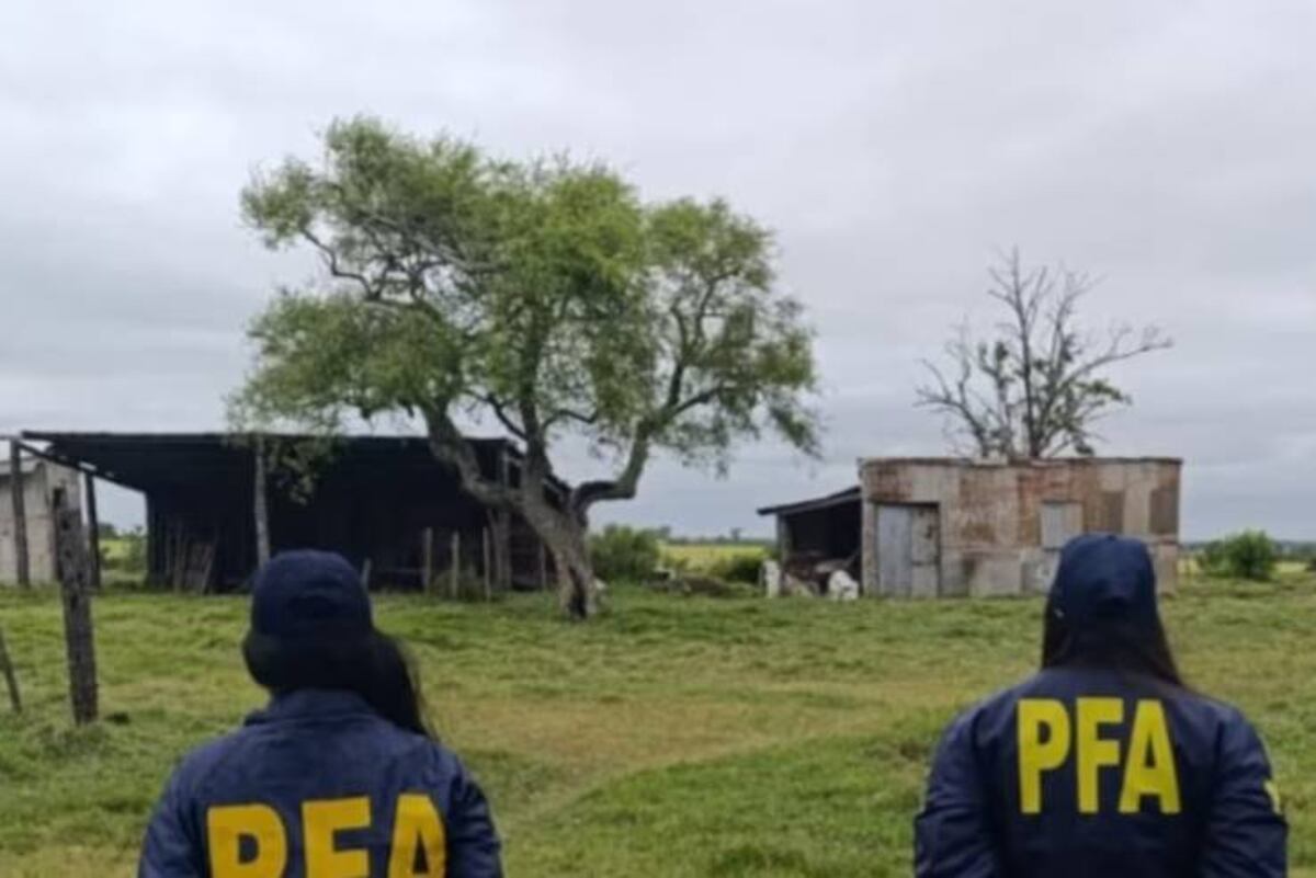 El detenido, de 60 años, enfrenta cargos por reducción a la servidumbre. (Infobae)