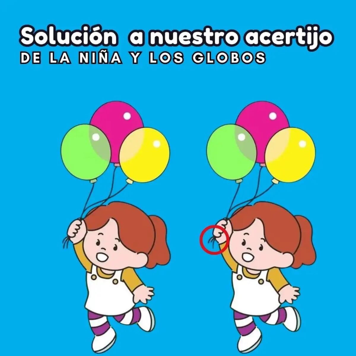 La solución del acertijo.