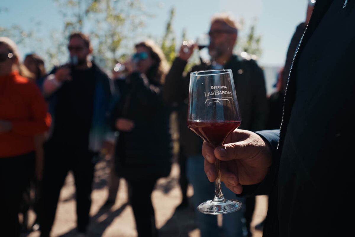 El enoturismo es una joya emergente, Chubut.