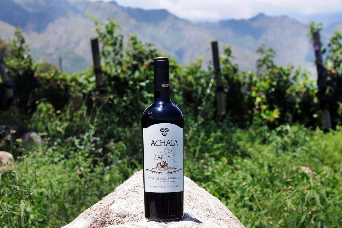 7 Clos del Molle Ingrato malbec 2021, Achala Bodega Exótica, Córdoba. (Javier Ferreyra).