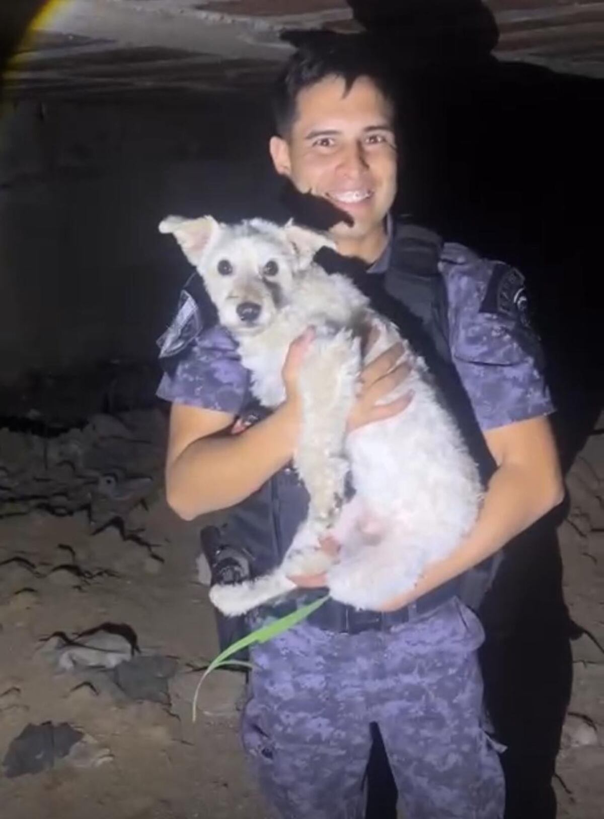 Rescate policial: Un perro fue salvado luego de caer a un pozo ciego en barrio Centro.