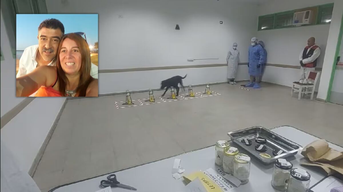 La perra “Nina” olió rastros de Loan. (Captura de video)
