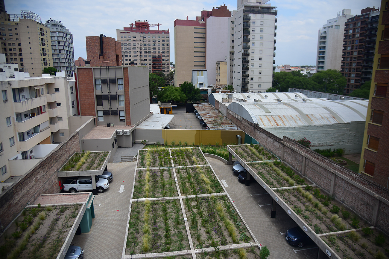 Sobre las cubiertas del estacionamiento, crecen plantas. Al fondo, se puede ver el espacio donde se implantaron las vides.
Foto: Pedro Castillo