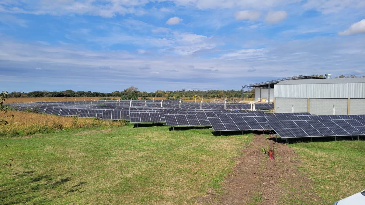 ENERGÍAS RENOVABLES. El parque de energía solar que la empresa Familia Grión construyó en Colonia Caroya. (Gentileza Familia Grión)