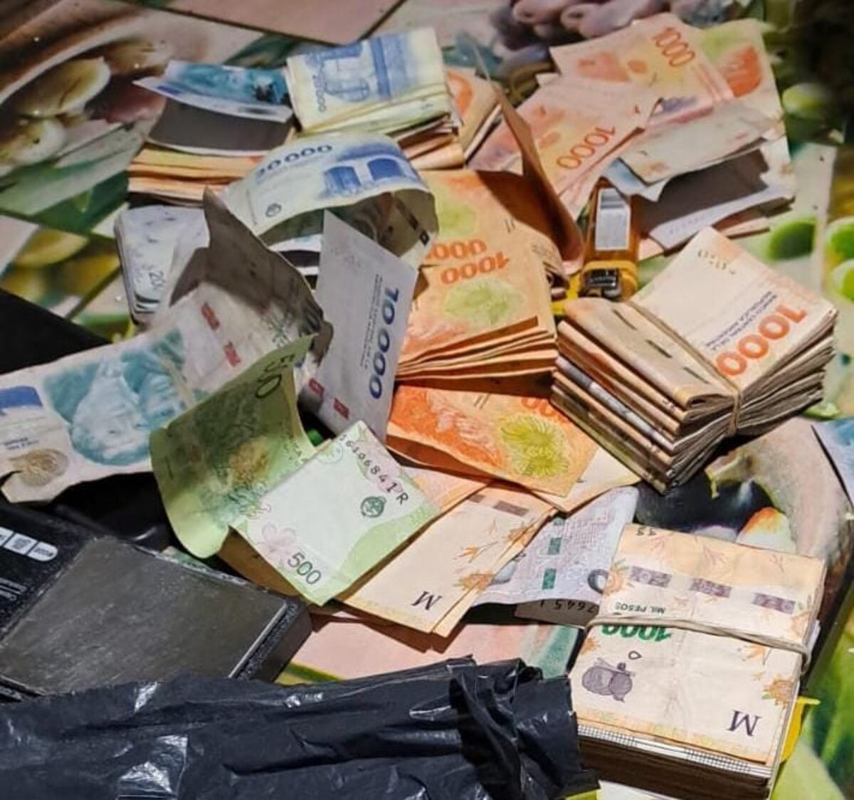 Elementos secuestrados en los procedimientos.
