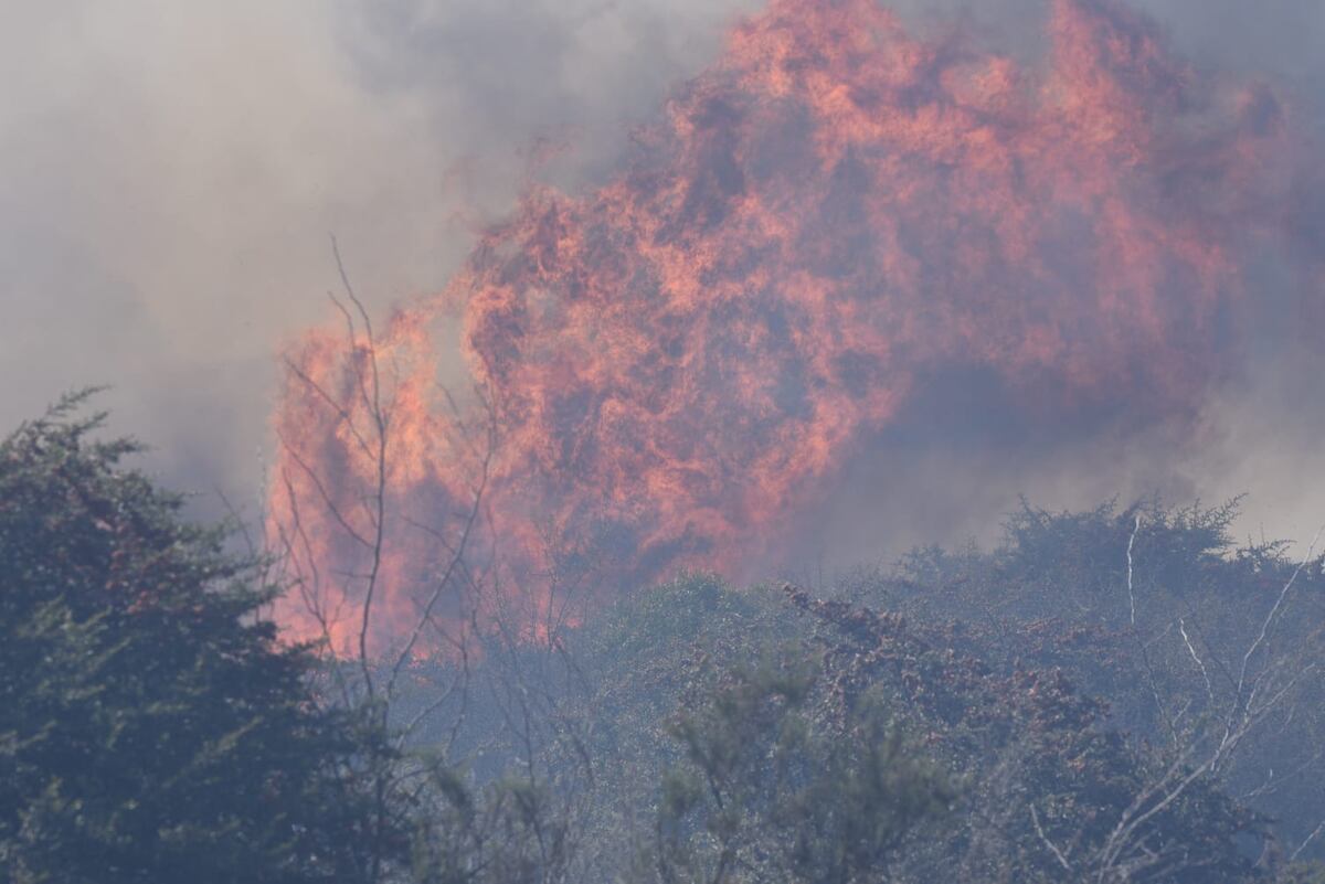 Incendio en Huerta Grande. (La Voz)
