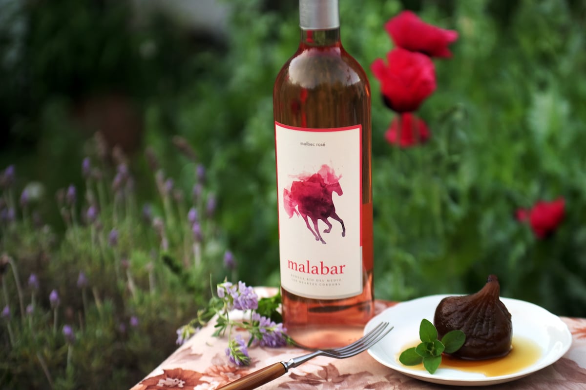 Malabar Rosé Bodega Río del Medio 2025 Córdoba (Javier Ferreyra).
