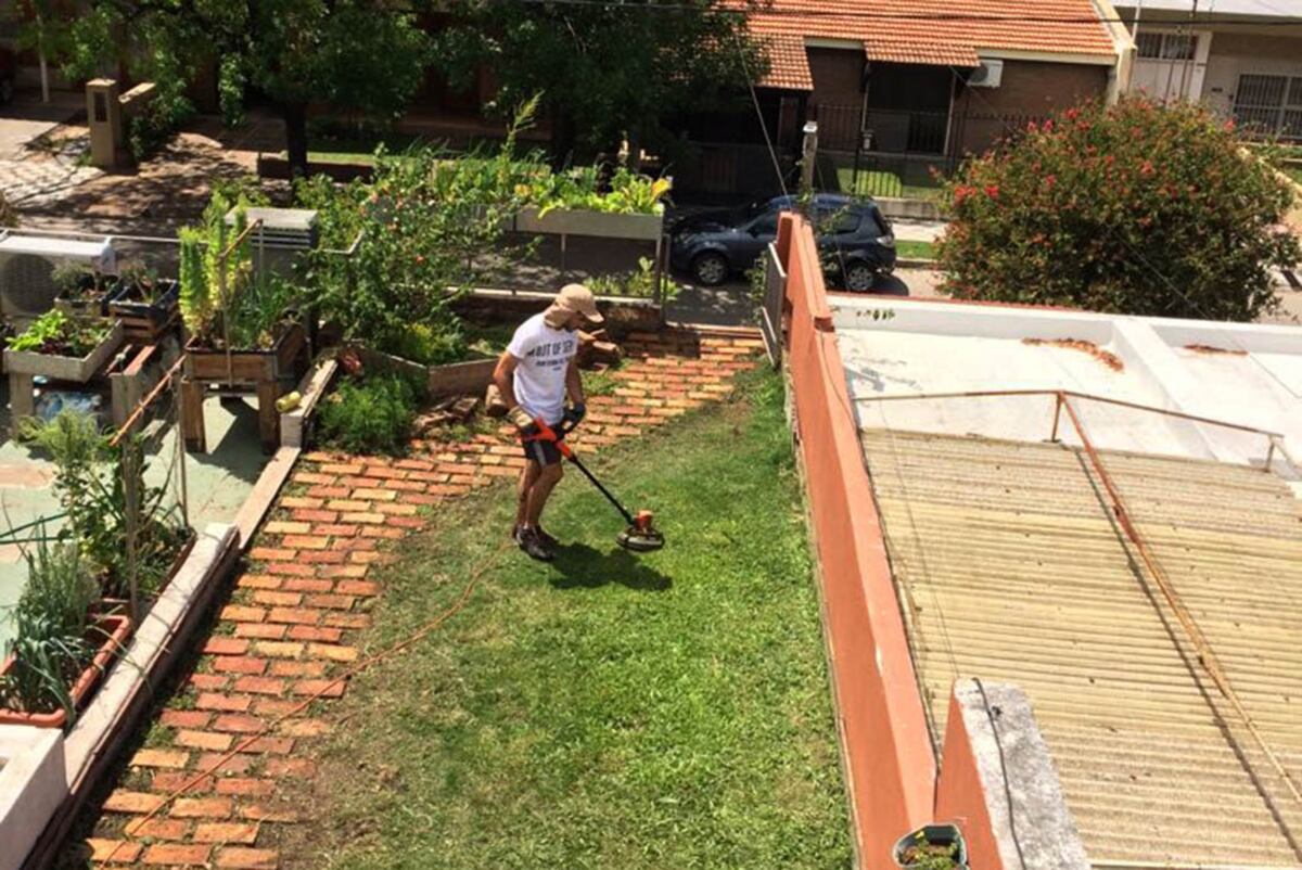 Aislación. Reducen inmediatamente la temperatura interior de la construcción (Gentileza Verdes Córdoba).
