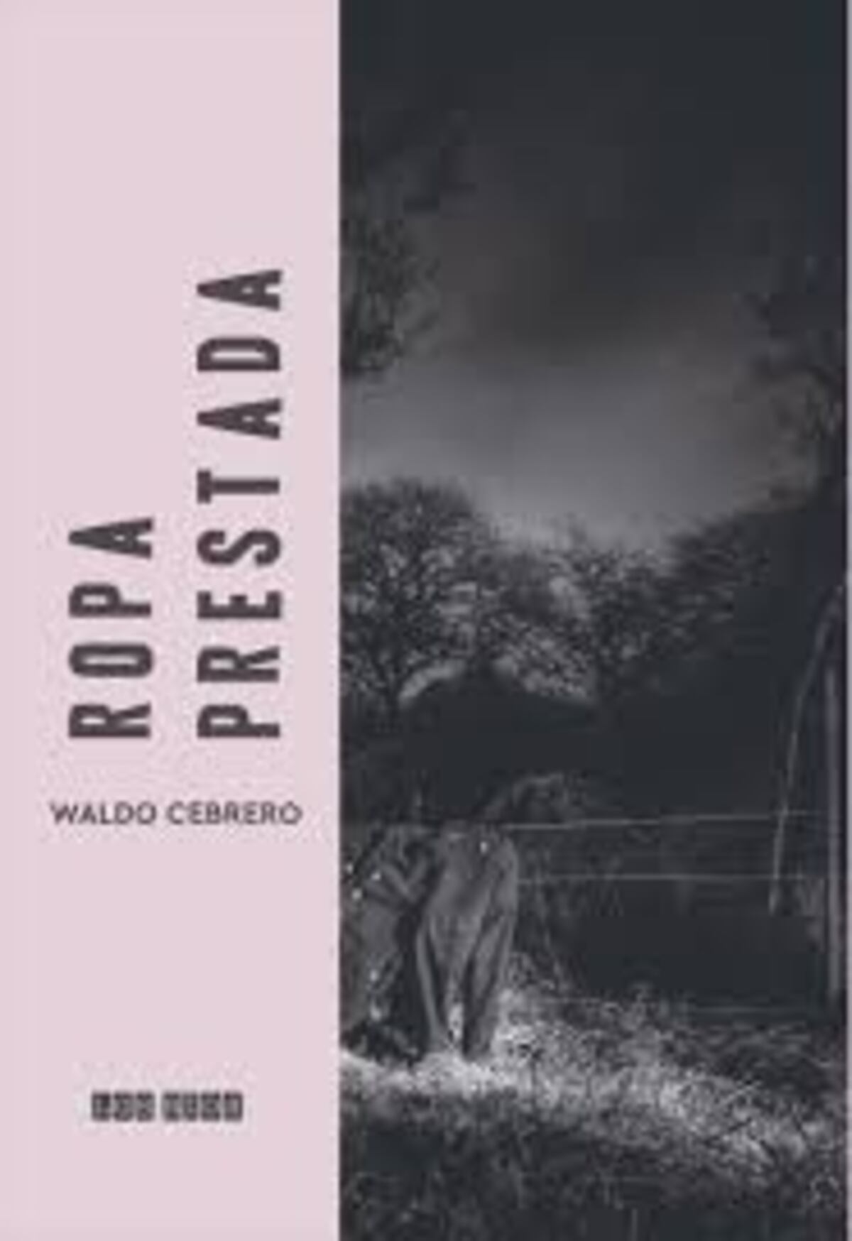 Ropa prestada, novela de Waldo Cebrero.
