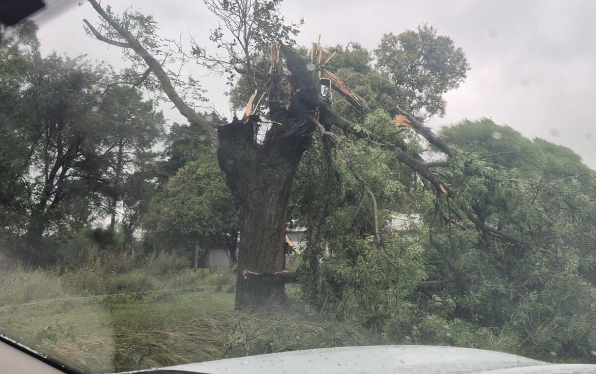 Lo que dejó el paso de la tormenta en el sudeste cordobes. (Gobierno de Córdoba)