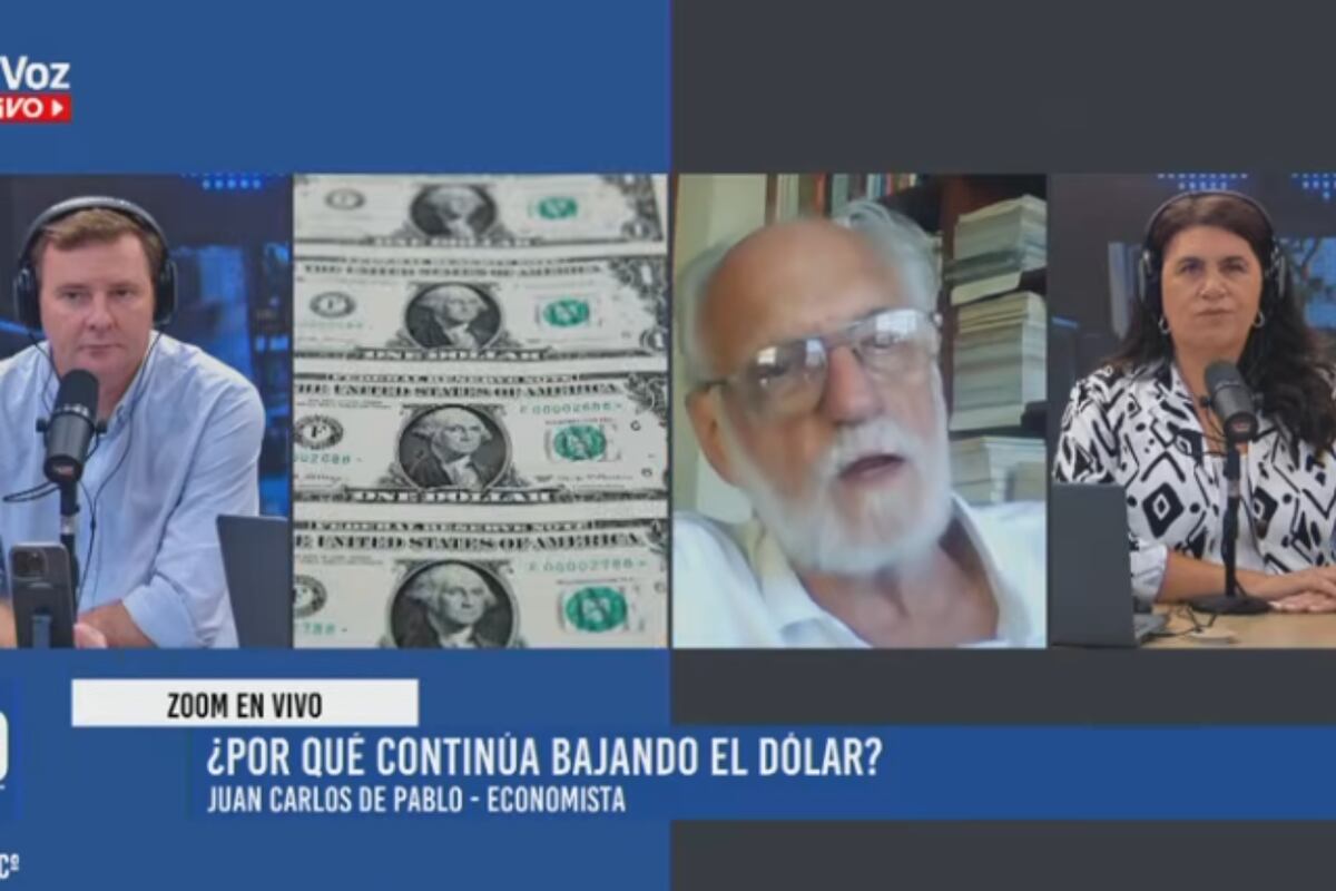 El economista Juan Carlos de Pablo (Captura de video).