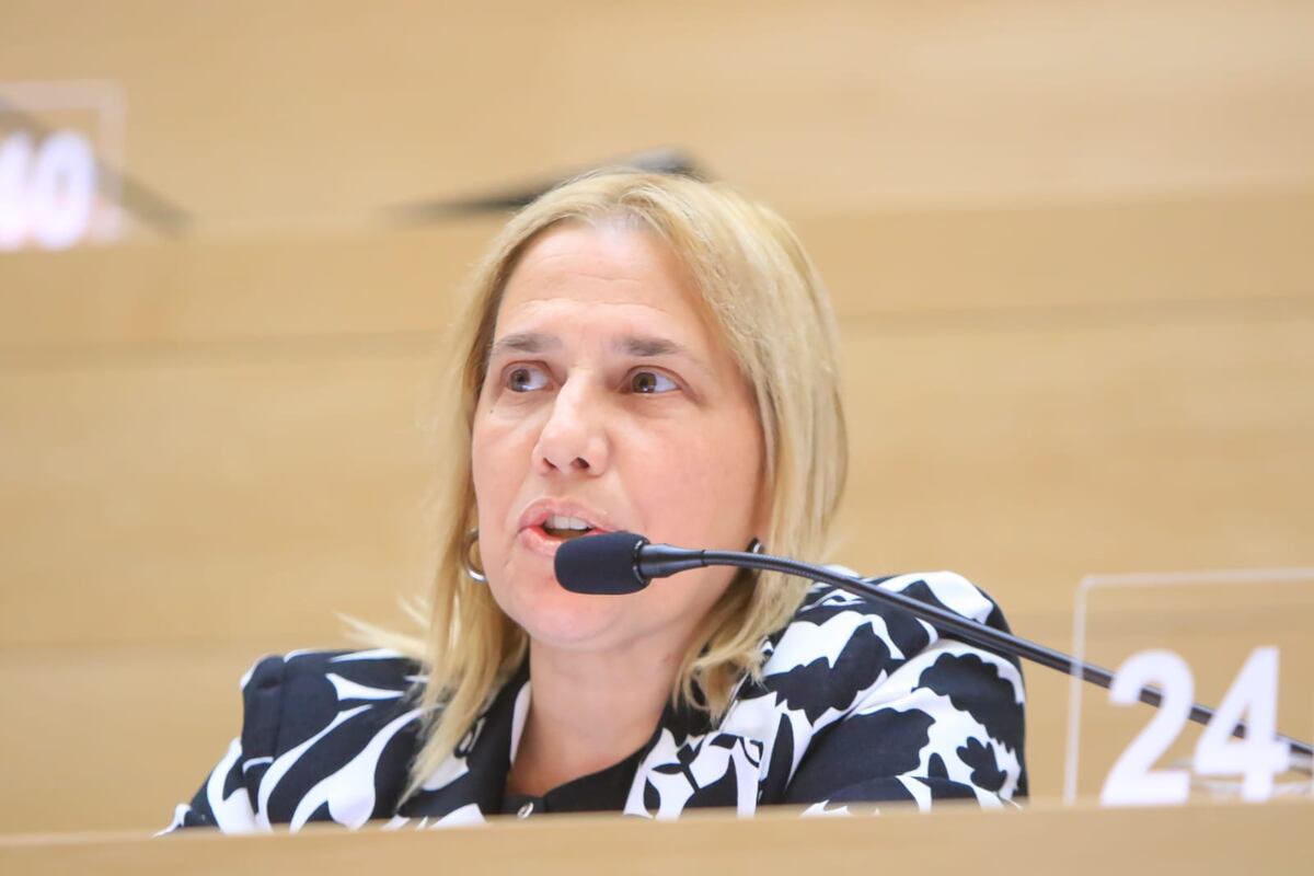 La radical Ariela Szpanin pidió al Gobierno que incremente la cartelería y las campañas sobre seguridad acuática.