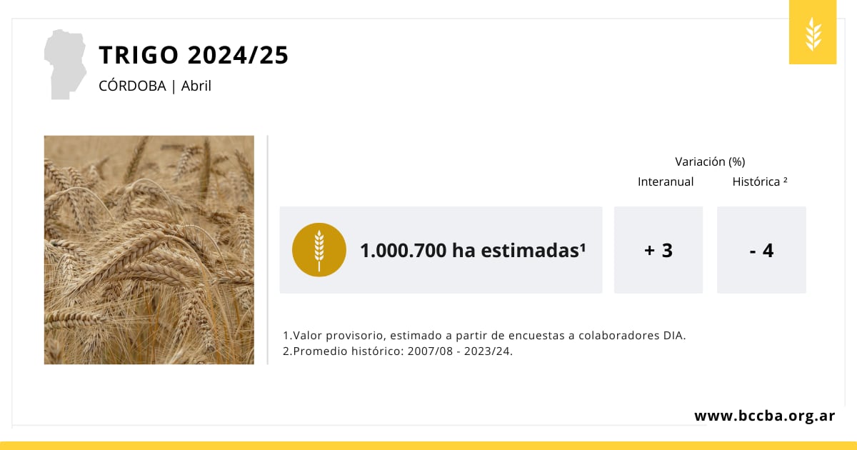 Trigo campaña 2024-2025