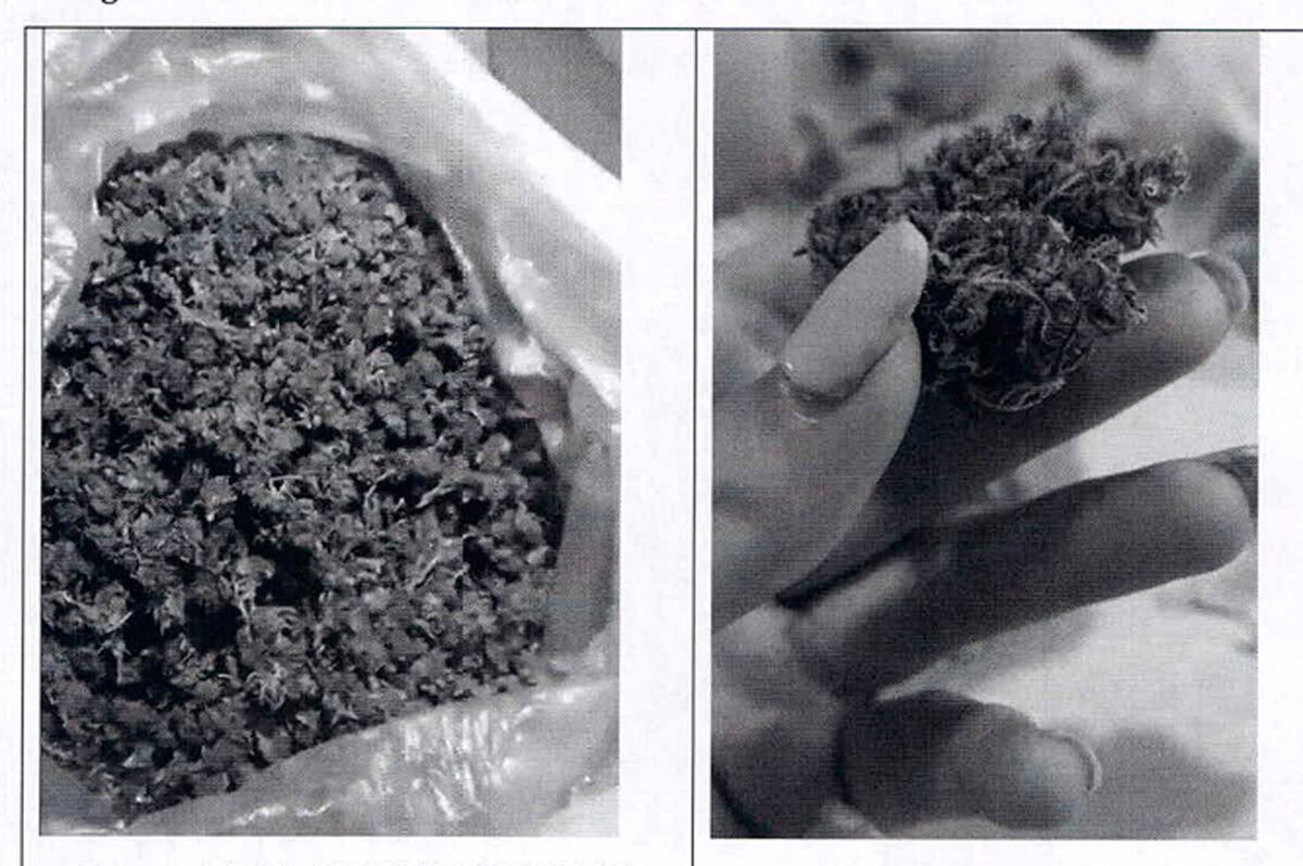 A la izquierda: "Mencho" Basualdo Jaimez le envió a "Yiyo" Ramallo esta foto para mostrarle la marihuana. A la derecha: Castillo, una de las exparejas de "Yiyo", al enviarle una foto con marihuana en su mano.