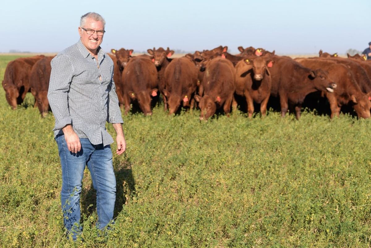 Las instalaciones del productor Flavio Perlo fueron las utilizadas para el primer remate de Angus Colorado organizado por el grupo Los Colorados del Centro. (Gentileza Genética L'arachide)