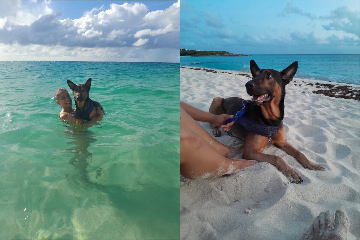 Postales de la vida de Augusto en el caribe.