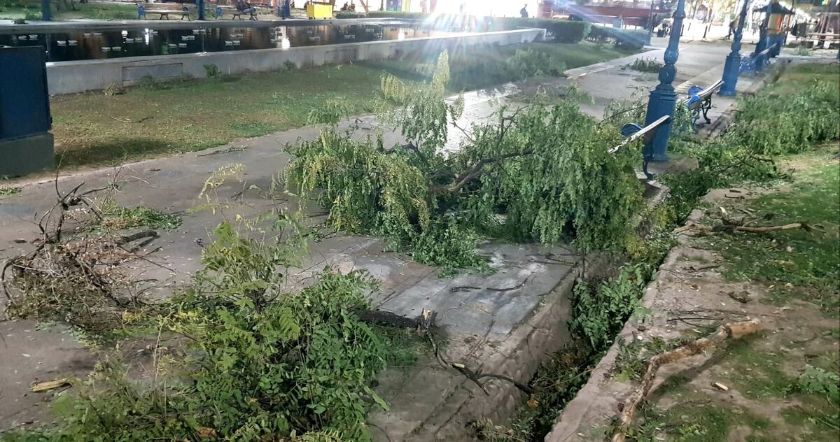 Ramas en la plaza Independencia tras el viento Zonda (Orlando Pelichotti / Los Andes)