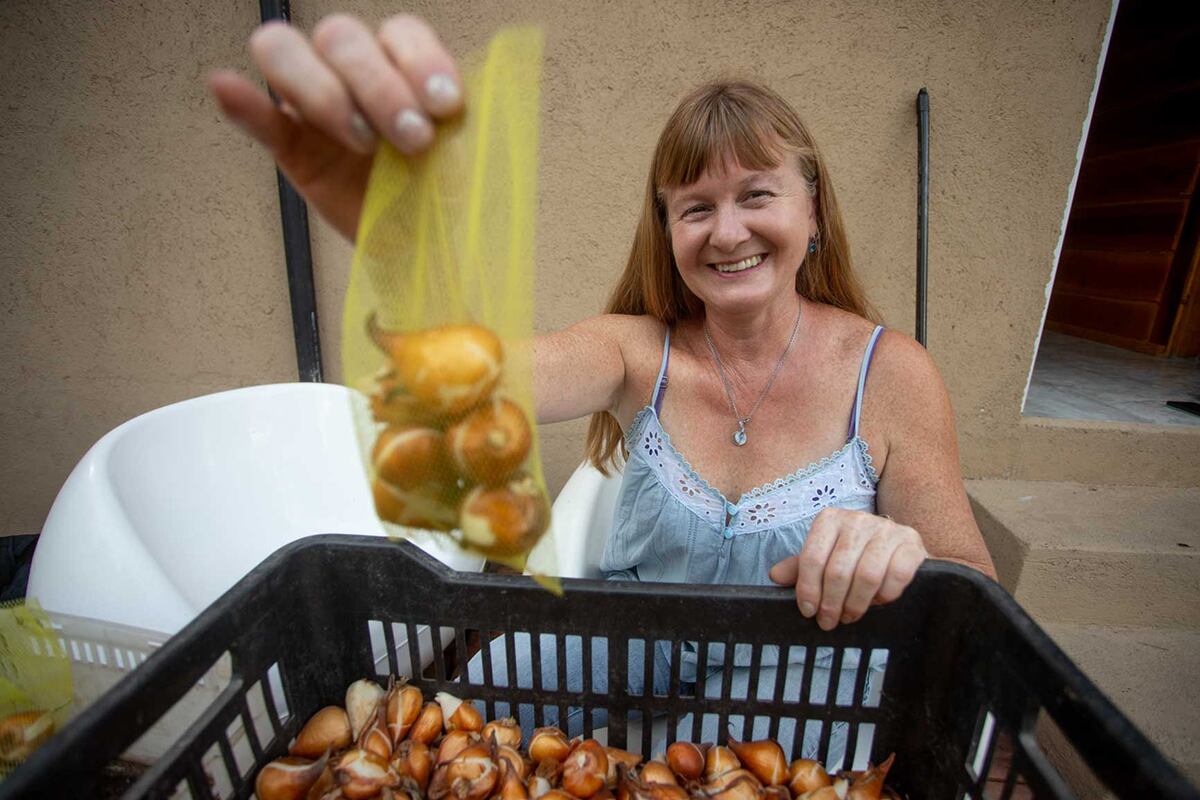 Silvia con los bulbos de tulipanes en su casa del valle de Calamuchita. (Nelson Torres/ La Voz)
