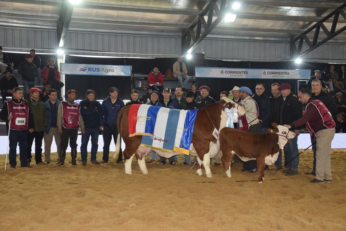 BRAFORD. Gran Campeón Hembra de Cabaña Laguna Limpia y Los Orígenes. (Gentileza Expoagro)