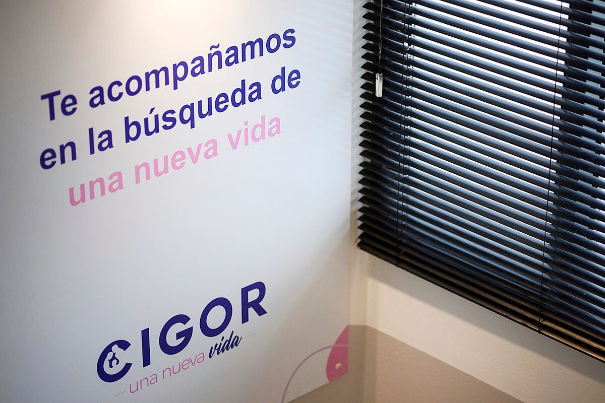 CIGOR fundada en 1987.