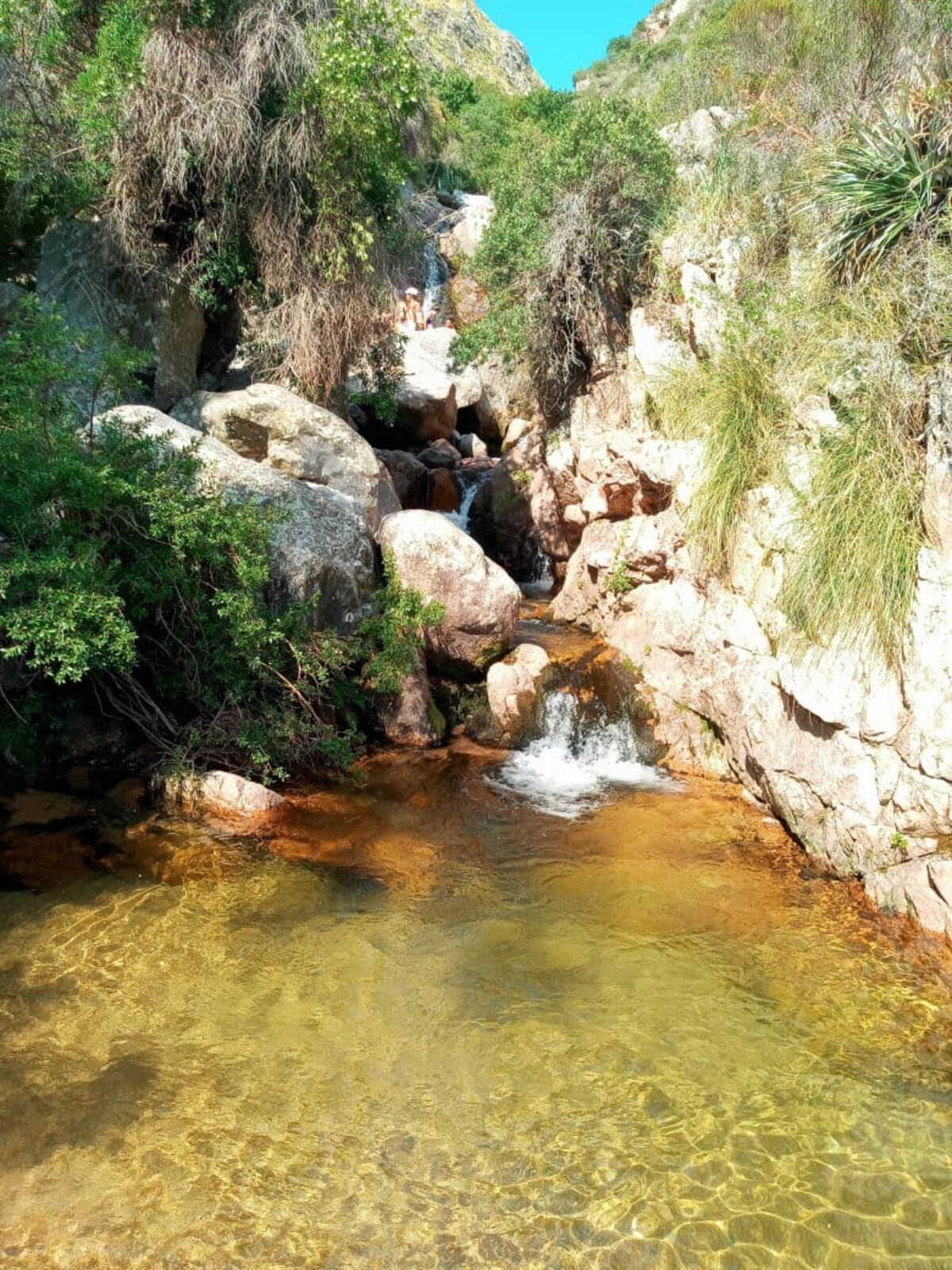 El camino a la cascada empieza en la Reserva Natural Quebrada de Villa Elena. (Foto: Andrea Molina)