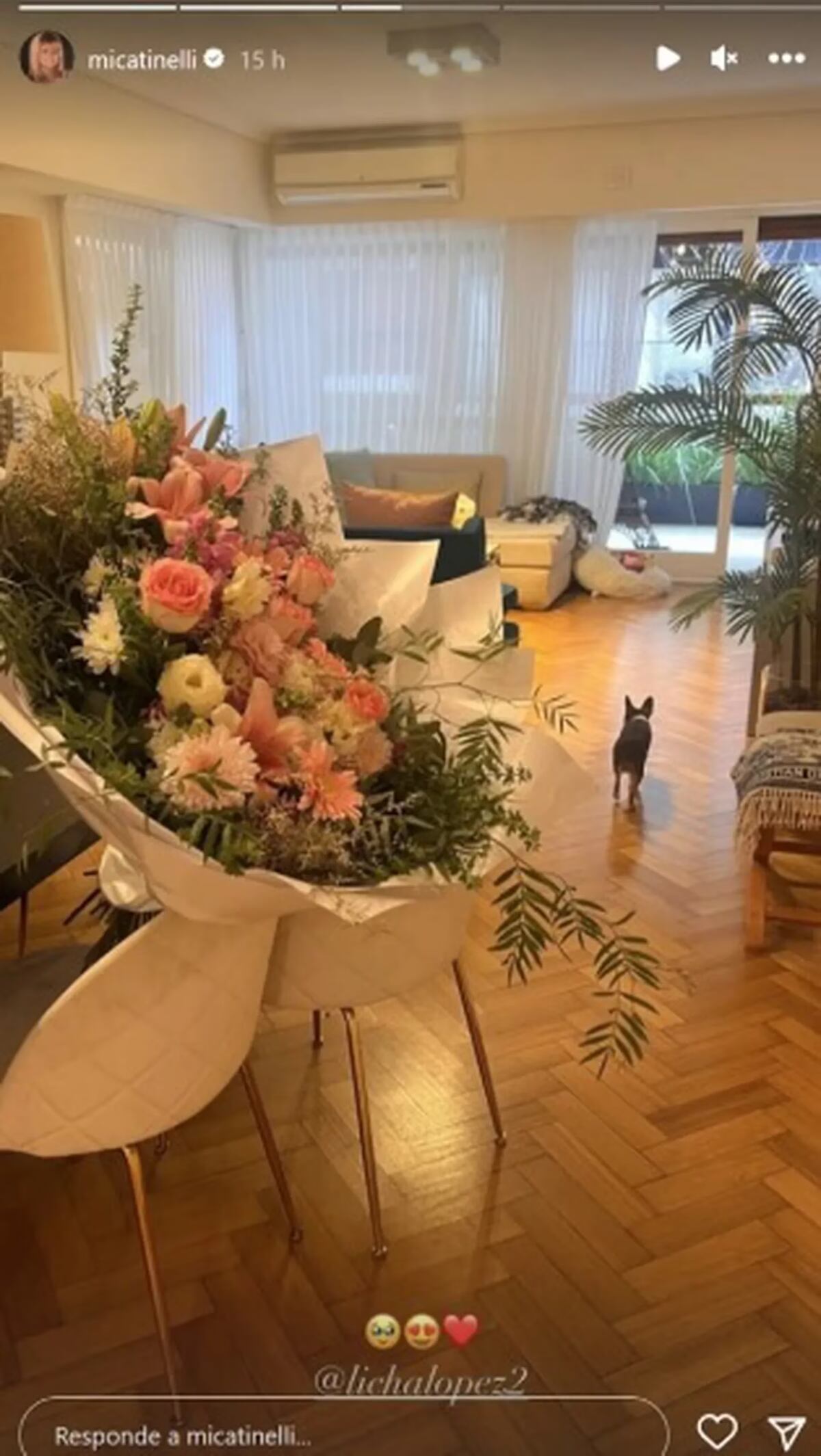 El regalo de Licha a Mica en un nuevo aniversario. (Instagram Mica Tinelli)