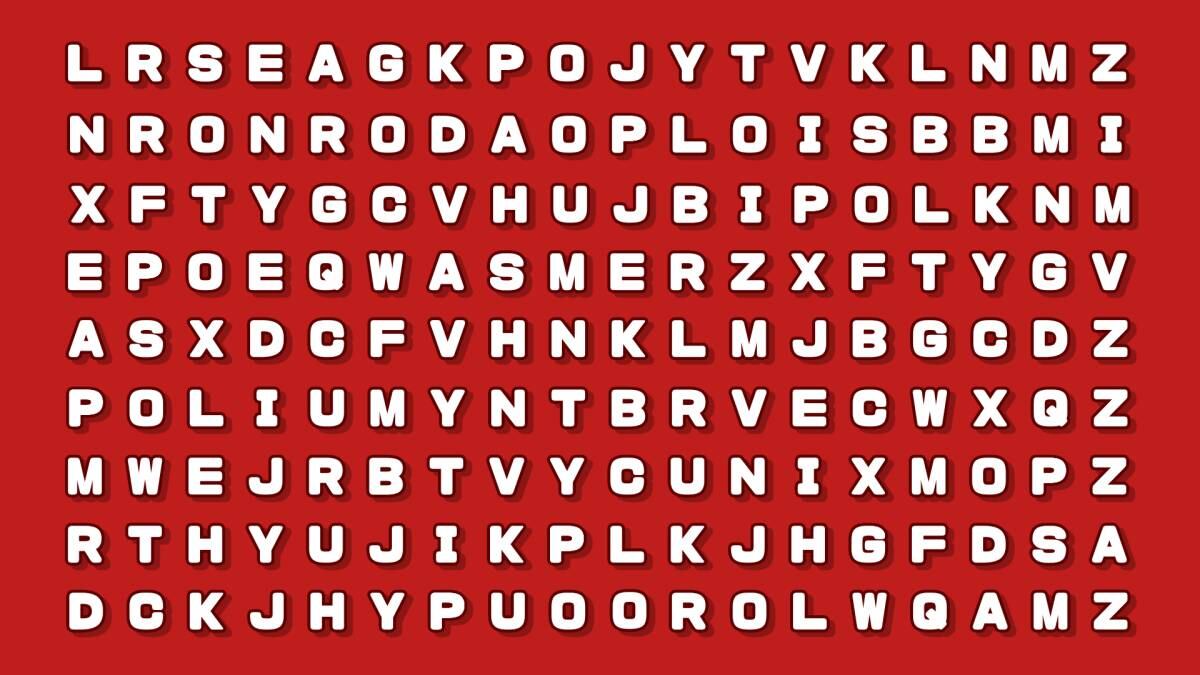 El acertijo visual.