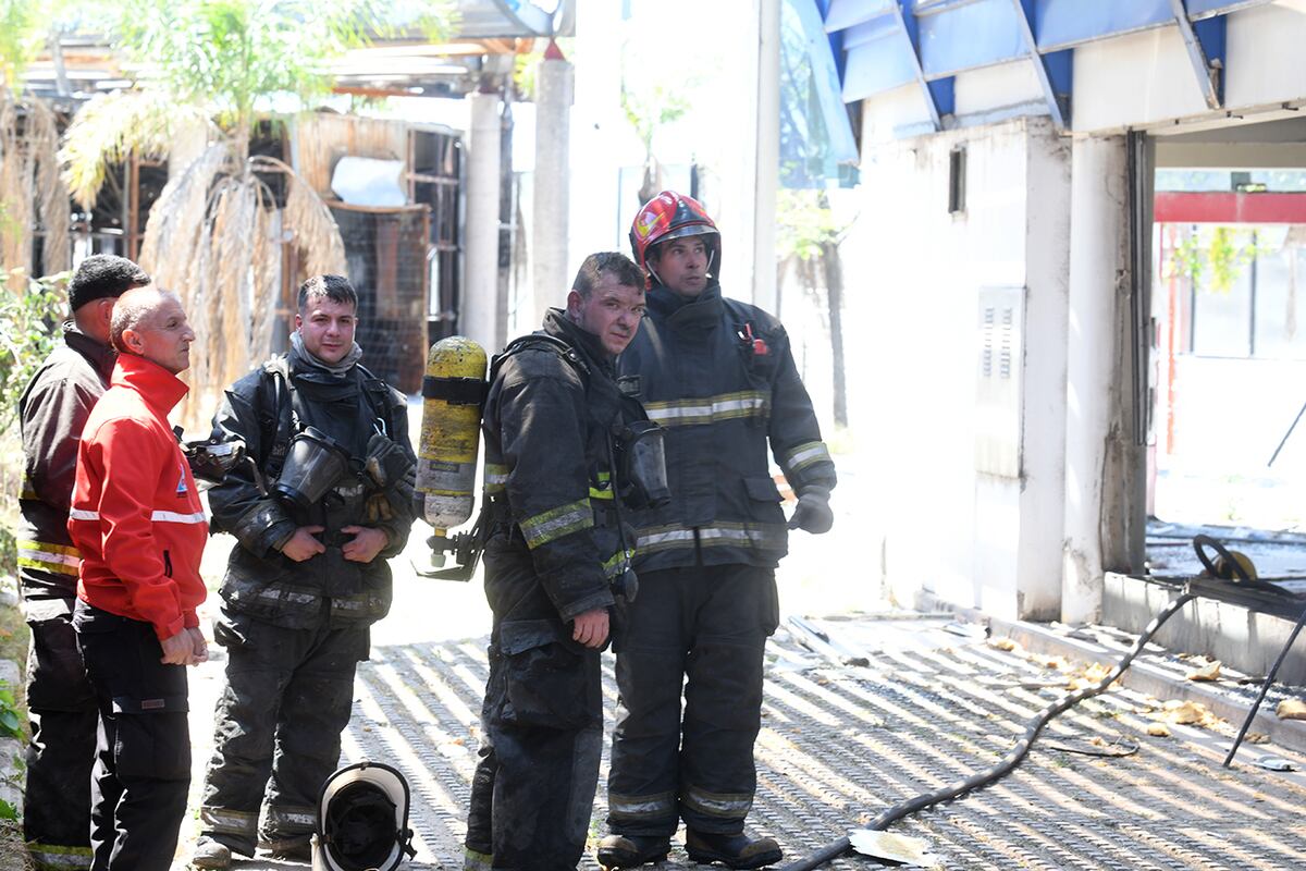 Incendio en la zona del Cerro de las Rosas, en Córdoba. (Ramiro Pereyra / La Voz)