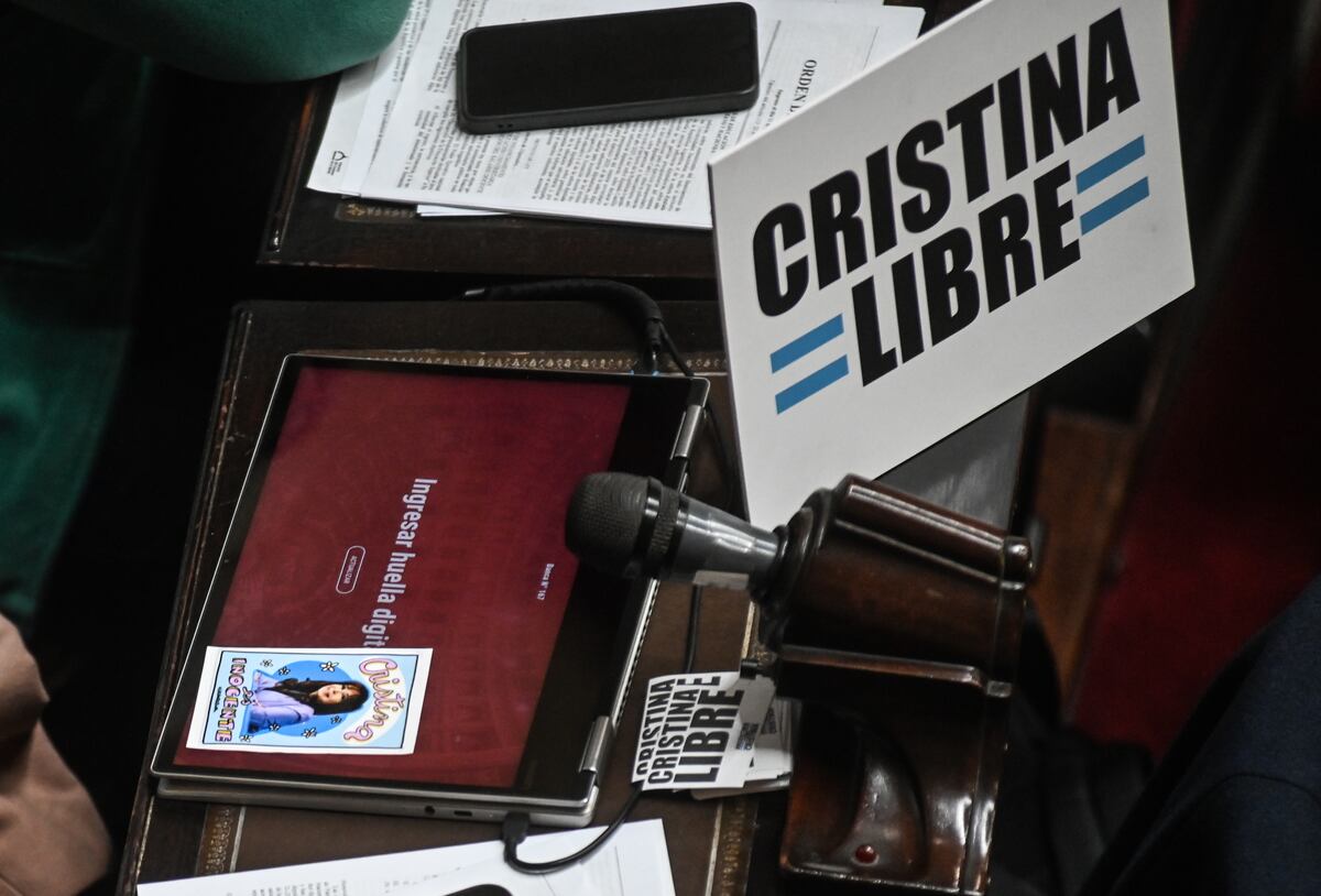"Megasesión" en Diputados de este miércoles 6 de agosto. (Gentileza Clarín)