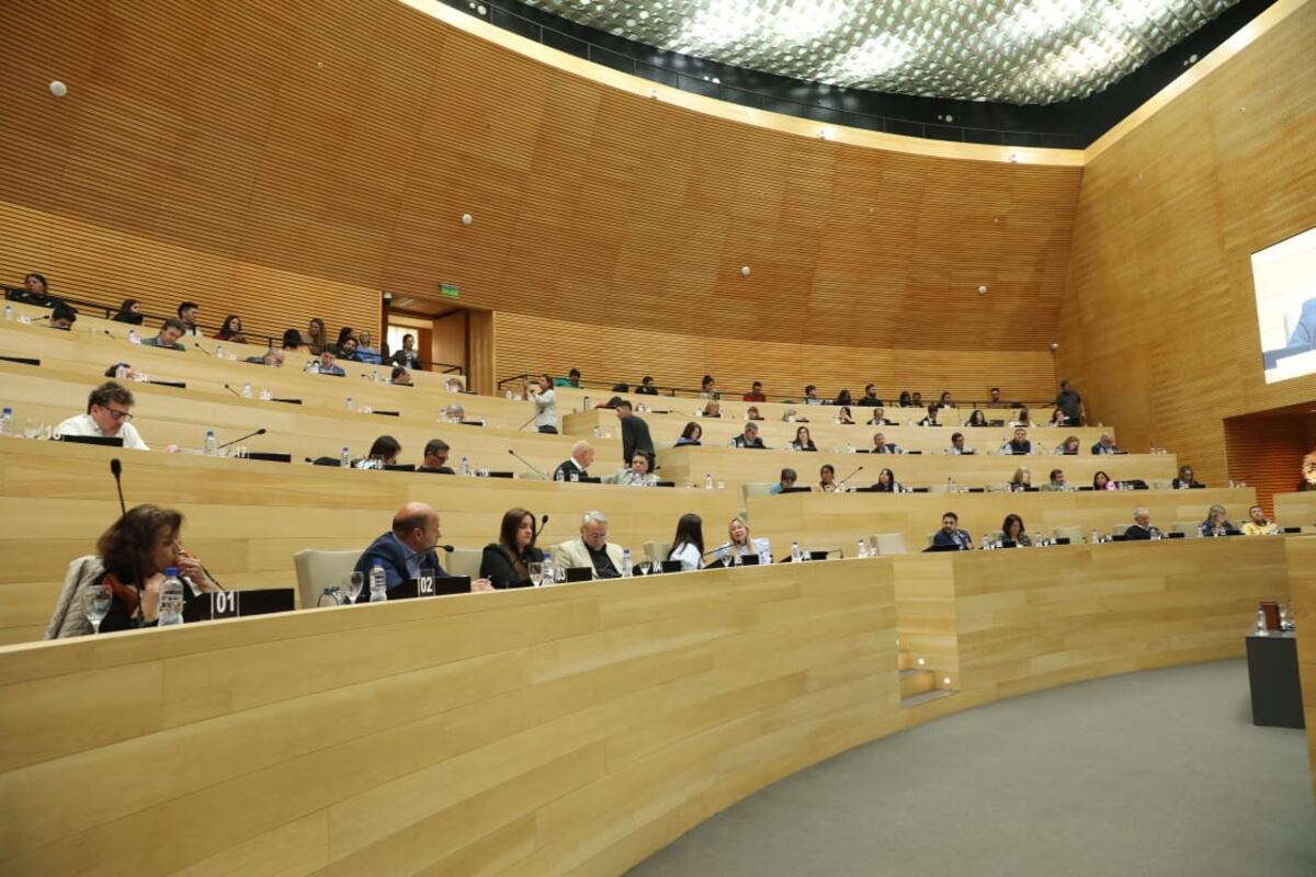 Legisladores de diferentes períodos no lograron actualizar la normativa sobre la formación y el ejercicio de los guardavidas.