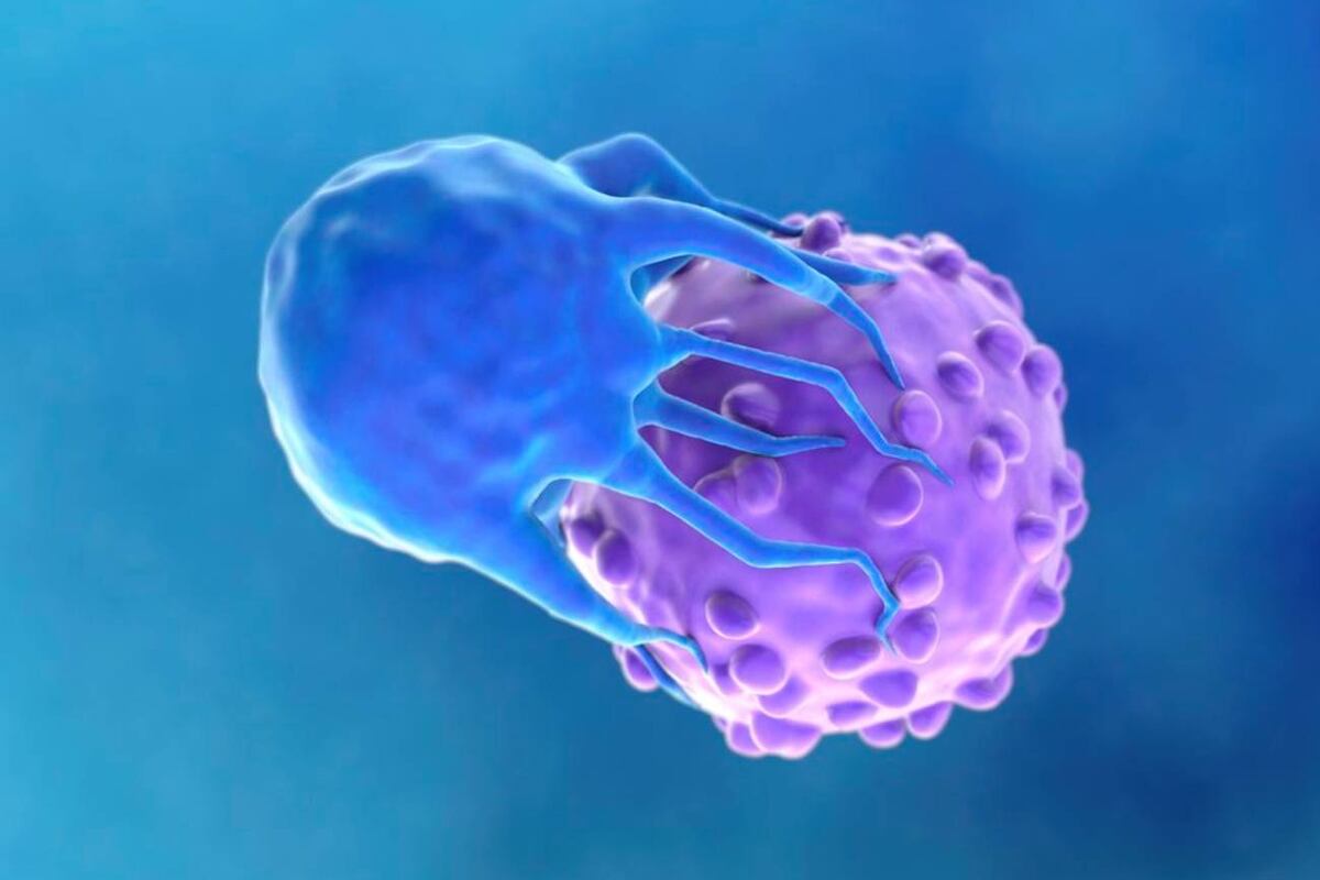 Una mujer vive 19 años sin cáncer tras recibir una terapia, la remisión más larga registrada