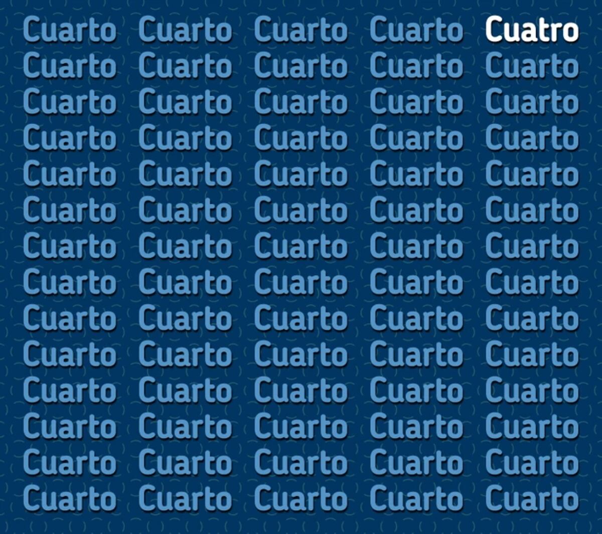 La solución del acertijo.