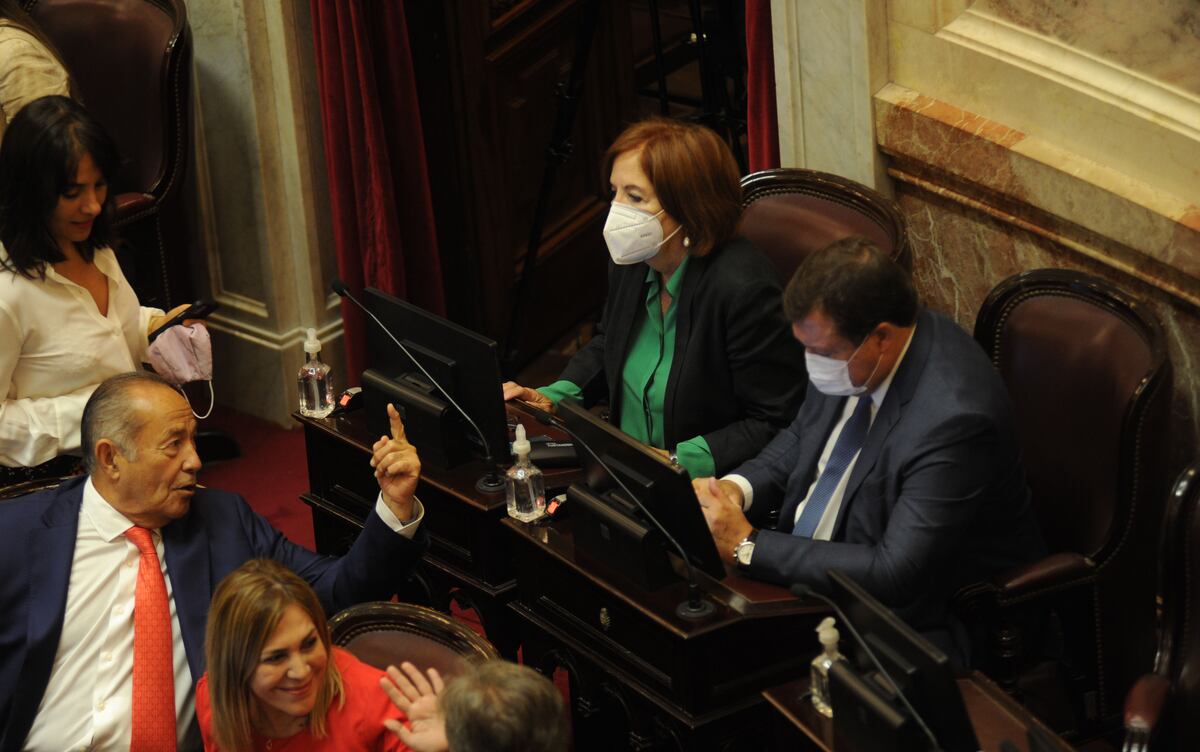 Alejandra Vigo, senadora por Córdoba. (Federico López Claro)