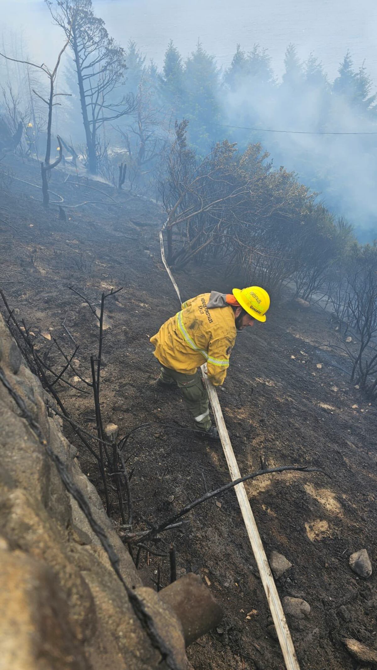 Fuego en Bariloche (Foto: X)