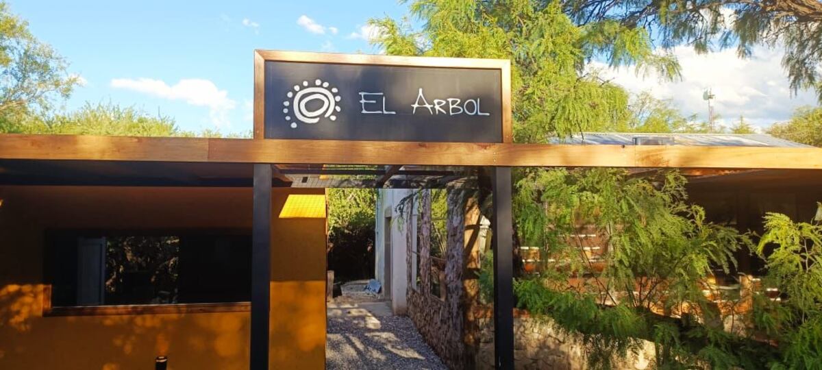 El parque apícola El Árbol busca difundir el trabajo detrás de la miel. (Expoagro.com)