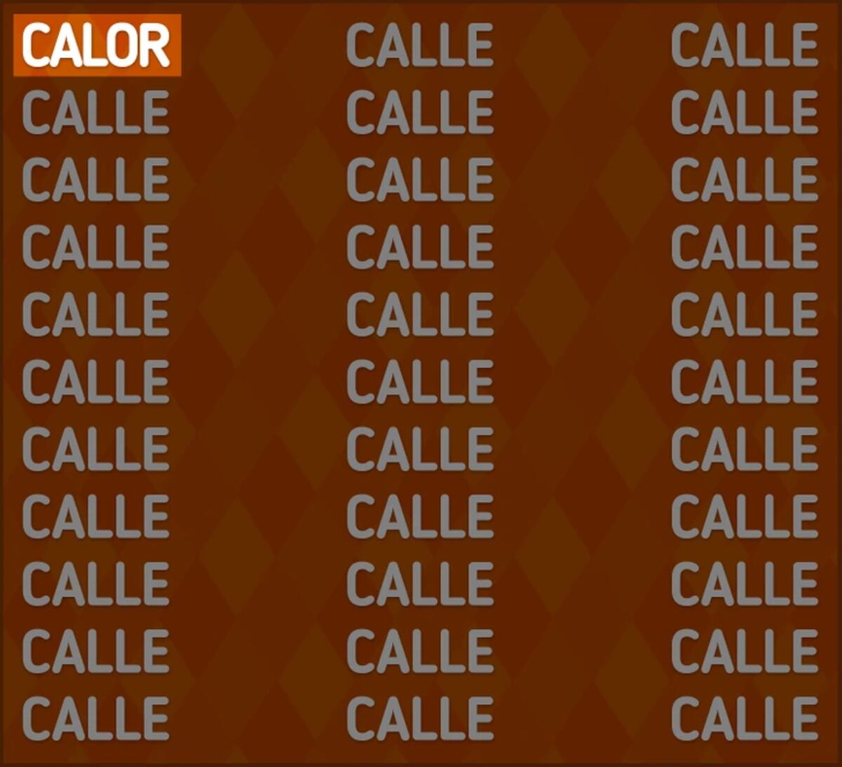 La solución del acertijo visual.