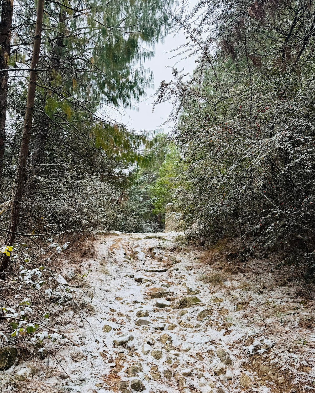 Nieve en La Cumbrecita, este domingo 29 de junio. (La Voz)