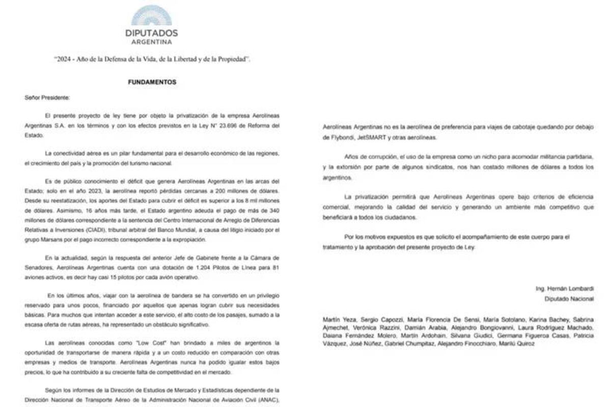 Diputados del PRO presentaron un proyecto para privatizar Aerolíneas Argentinas.