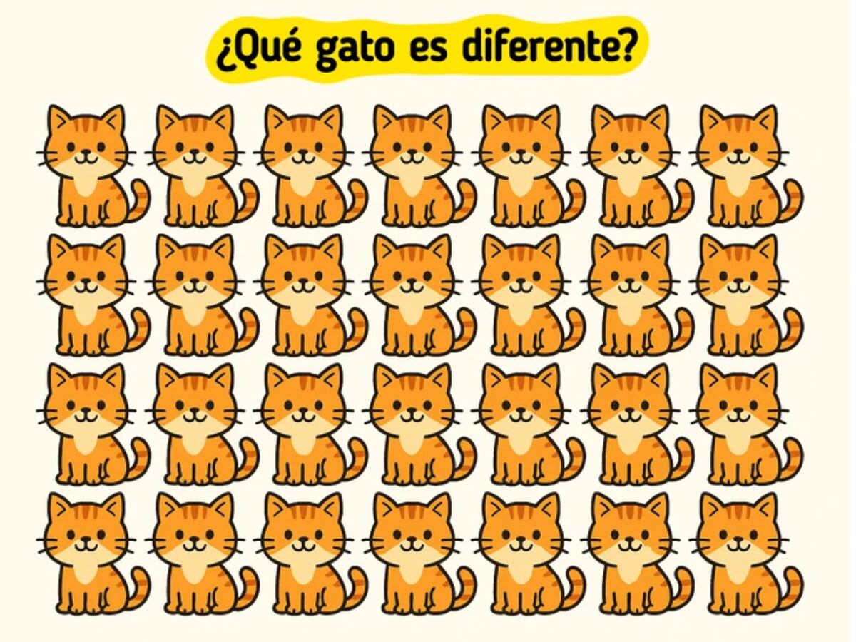 El reto visual.