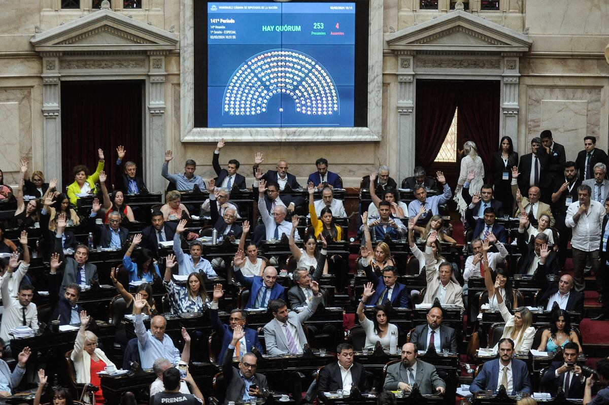 Diputados. Se viene una larga sesión. (Foto: Federico Lopez Claro)