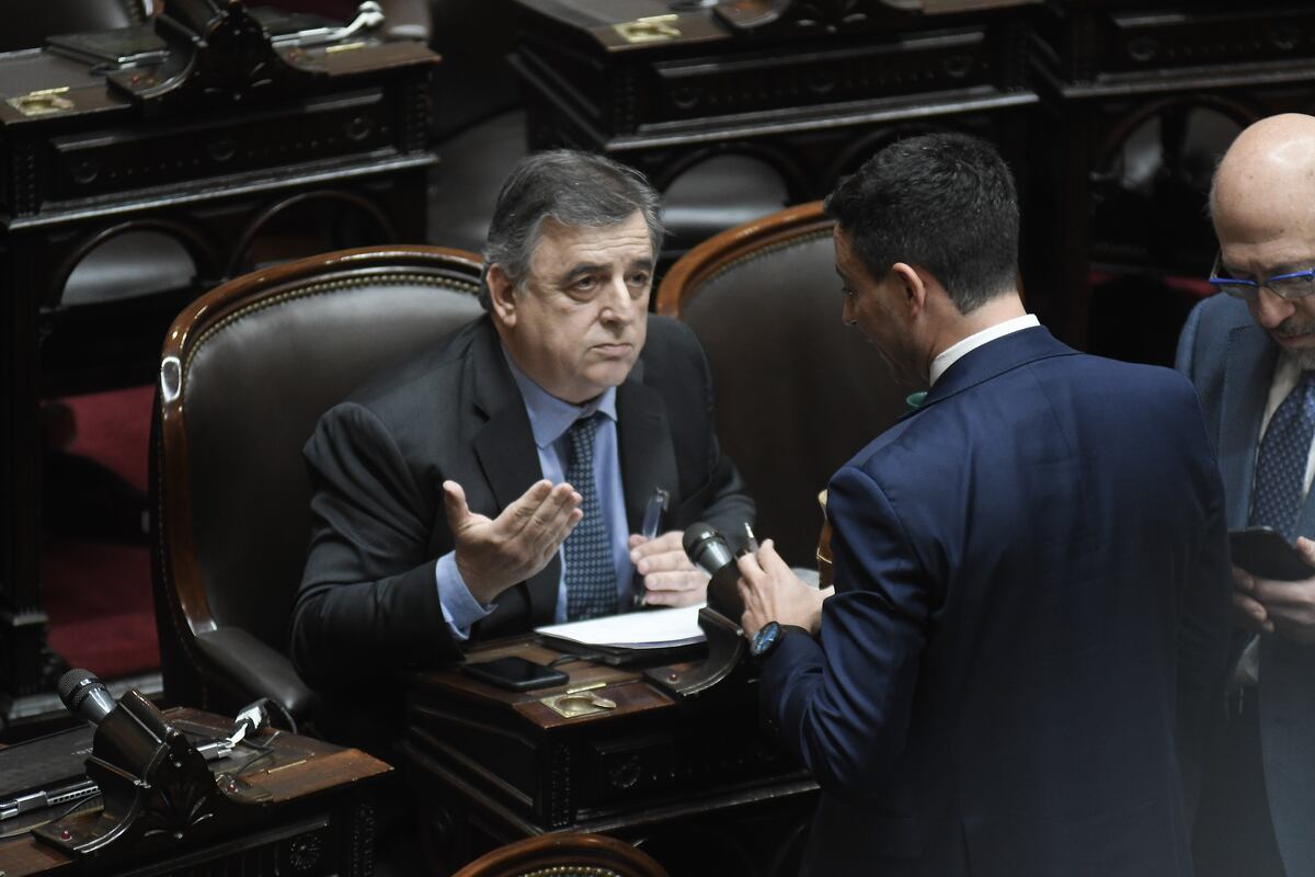 Sesión en la cámara de Diputados 
Por el intento de asesinato
Mario Negri de Loredo
Foto Federico Lopez Claro