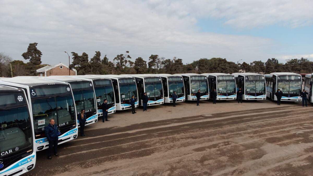 Tamse incorporó 20 unidades nuevas de piso adaptadas con rampas hidráulicas para el acceso de personas con silla de ruedas. (Municipalidad de Córdoba)