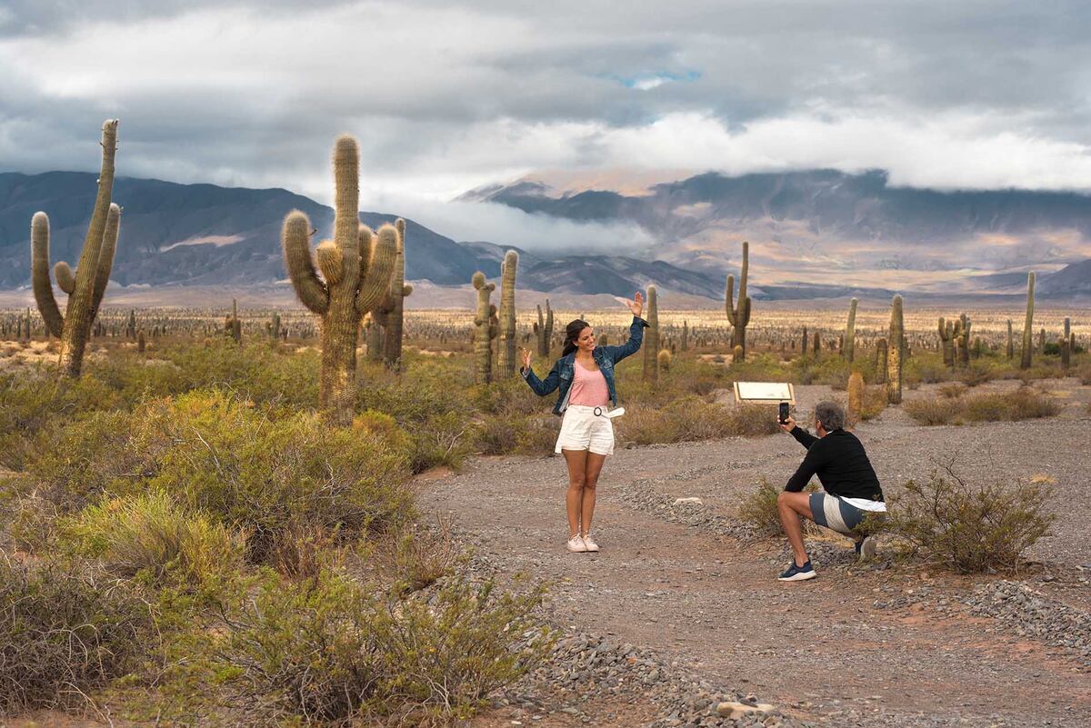 Parque Nacional Los Cardones, en Salta. (Foto Ministerio de Turismo de la Nación)